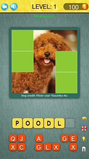 Guess The Puppy Pic(圖2)-速報App