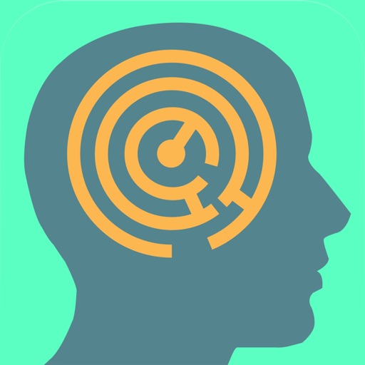 Brain Maze - A Visual Mind Game icon