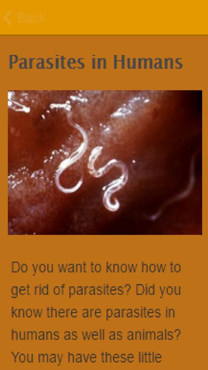 How To Get Rid Of Parasites