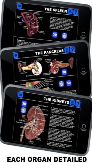 Anatomy 3D - Organs