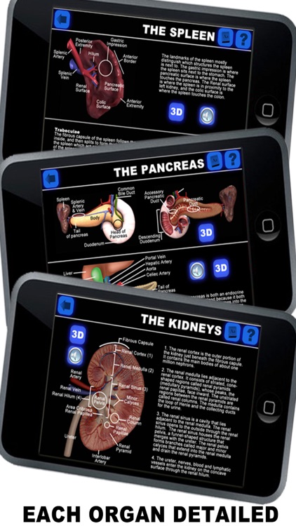 Anatomy 3D - Organs