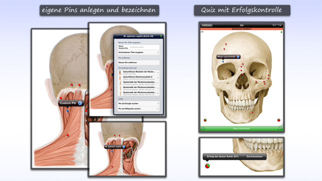 Thieme Anatomy on the Go 2.0 - English(圖4)-速報App