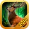Deer Hunter : Animal Shooting with Action, Adventure and Fun Games