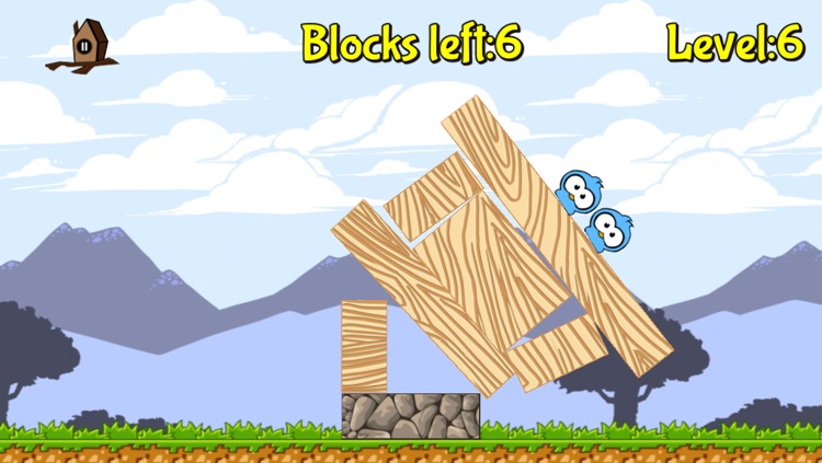 Birds'n'Blocks