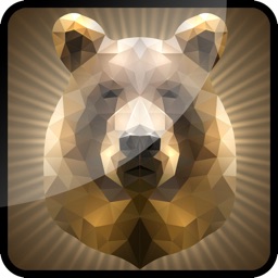 3D Grizzly Bear Flick 2014 / By Deer & Duck Trophy Hunt-ing Pro