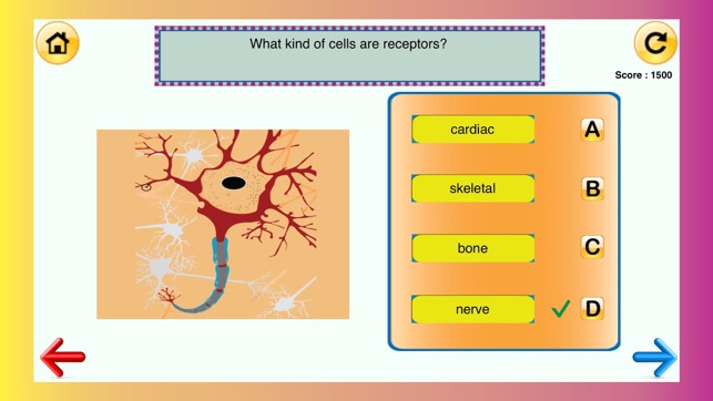 5th Grade Science Glossary # 2 : Learn and Practice Workshee(圖5)-速報App