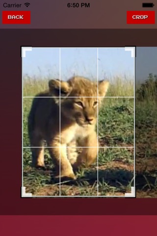 Crop Video+ screenshot 2