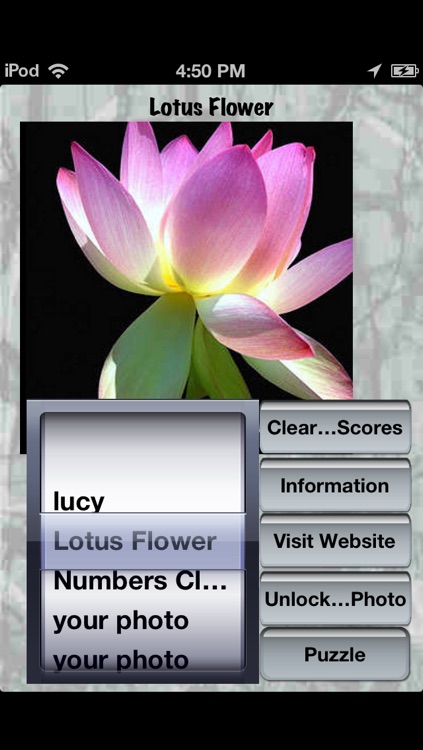 Your Photo Shuffle Puzzle screenshot-3