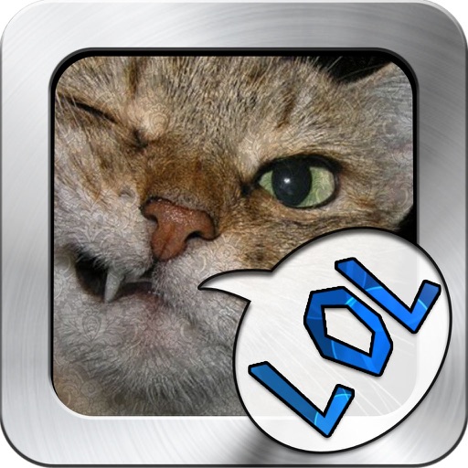 Animals of LoL : Funny Cats and Dogs icon