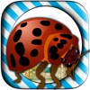 Bug Candies Quest Village Bug Candies Quest Village