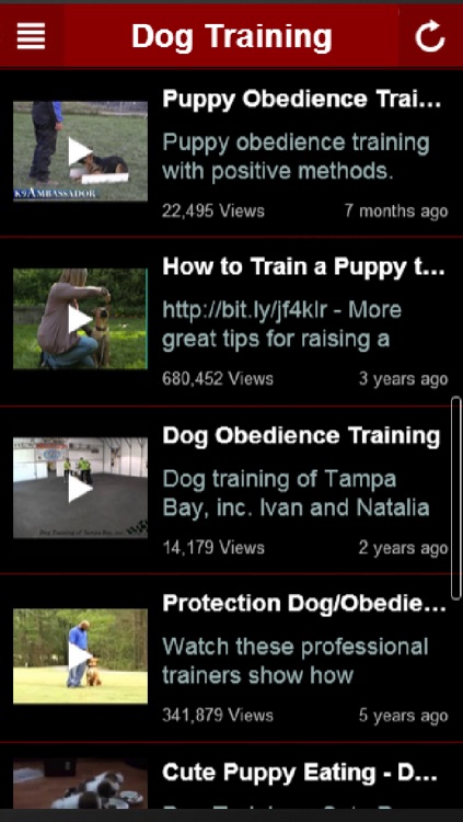 How To Train Dog: Learn How To Train a Dog The Right Way Yourself At Home