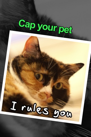 Put Captions On Pics - The Hilarious Funny Photos Maker - Random or Custom screenshot 4