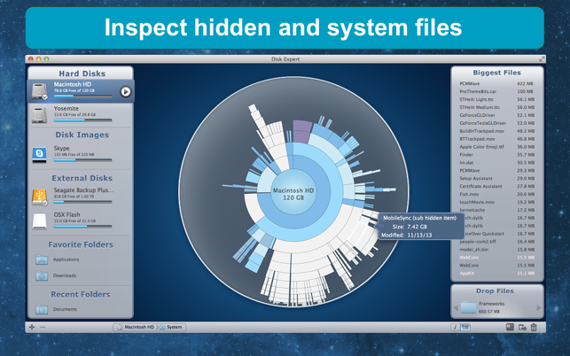 DiskExpert: Free Up Disk Space(圖5)-速報App