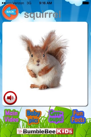 Backyard Animal Safari - Video Flashcard Player screenshot 3