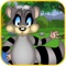 Racoon Voyage Race : Raccoon Animal vs. Panda and Owls