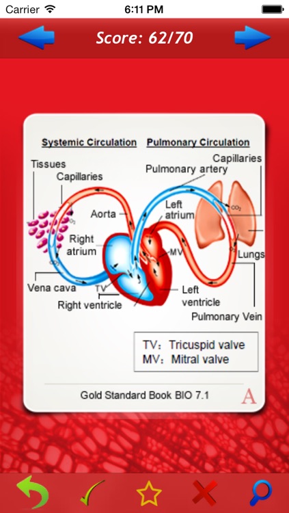 Gold Standard DAT Biology Flashcards
