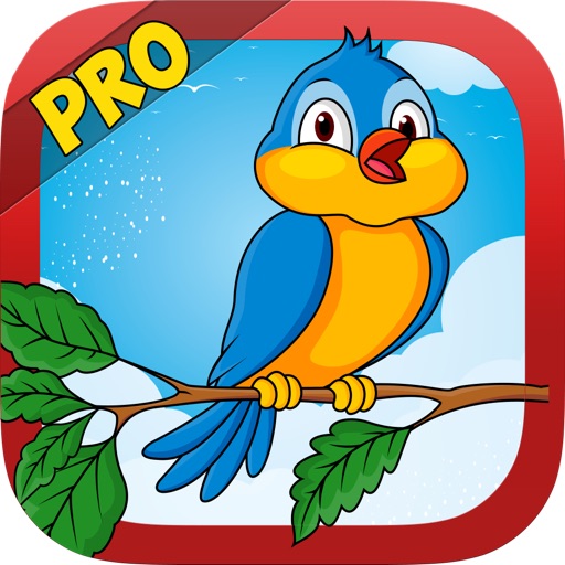 Bird Rush Pro iOS App