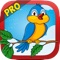 Bird Rush Pro