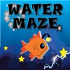 Water Maze