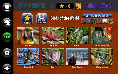 Birds Living Jigsaw Puzzles & Puzzle Stretch screenshot 2