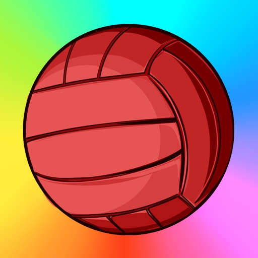 A sonic sport challenge - the volley-ball lite Icon