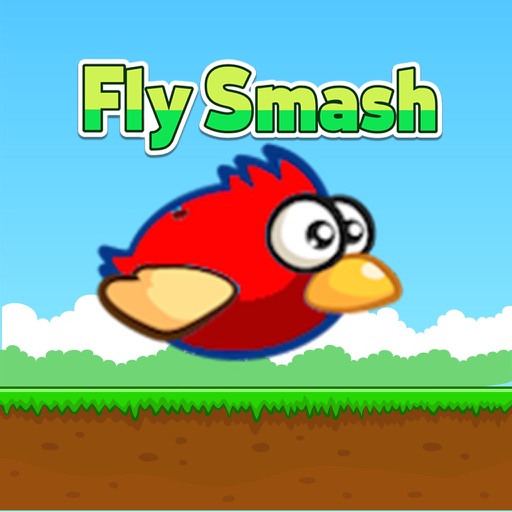 Funny Smash Clumsy Bird Rush iOS App