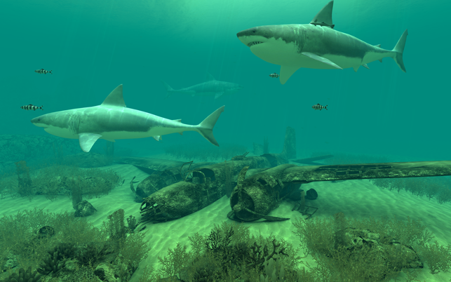 Sharks 3D(圖3)-速報App