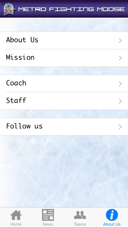 Metro Moose Hockey screenshot-4