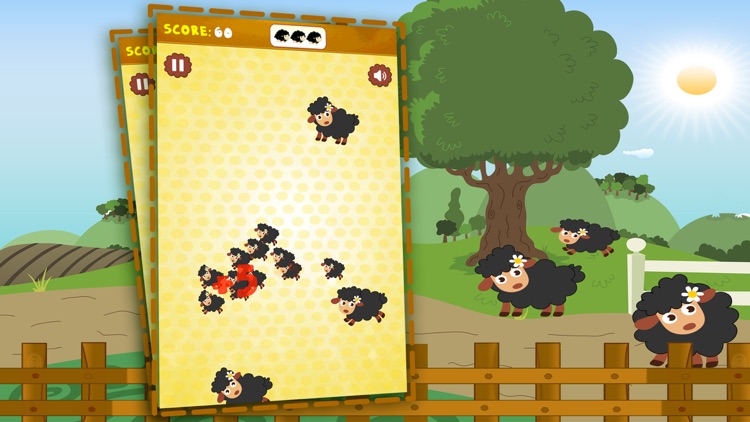 Baba Baba Black Sheep Game - Super Kid Challenge screenshot-3