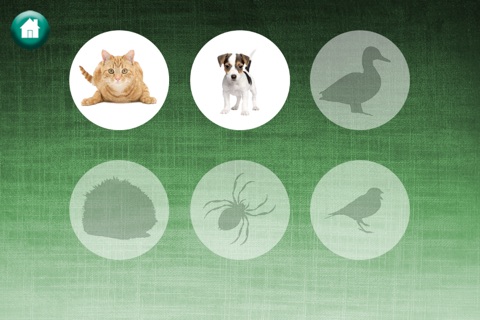 Find Animal Universal FREE Game screenshot 2