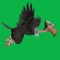 Flight of the Vulture is an addictive fun and hard game