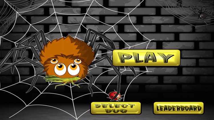 Spider Block Heads - Funny Insect See Saw Rush Free
