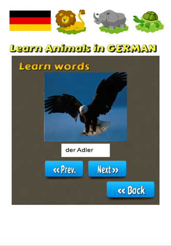 Learn Animals in German Language screenshot 4