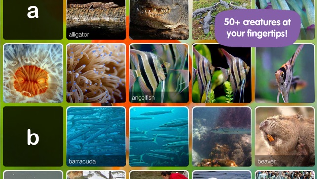 ABC Aquarium(圖2)-速報App