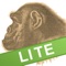 Ape Test Lite