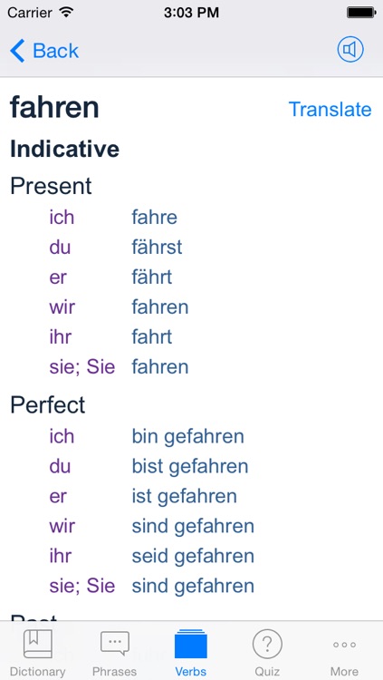 German Dictionary & Translator + screenshot-3