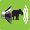 AudioZoo: Animal Sounds