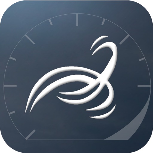Wind Meter icon