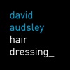 David Audsley Hairdressing