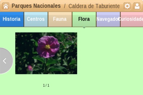 Caldera de Taburiente Parque Nacional screenshot 4