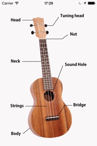 UkuleleMethod screenshot 2