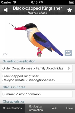 Birds of Korea Pro screenshot 2