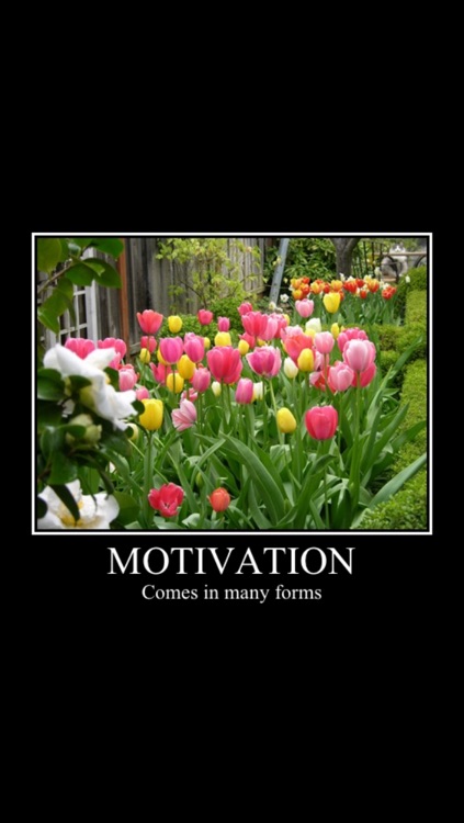 Motivational Poster Creator Free