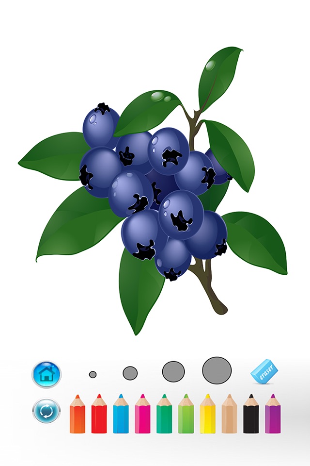Fruits Coloring Book - digital drawing and paint for kids screenshot 2