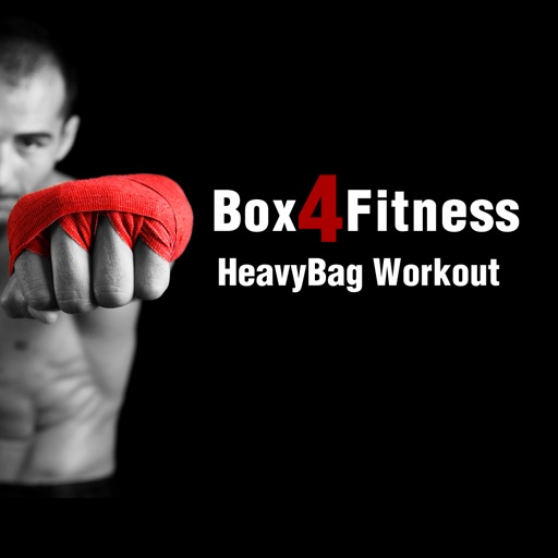 Heavy Bag Workout Box 4 Fitness