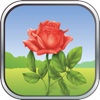Colorful Flowers:  Puzzle game for everybody