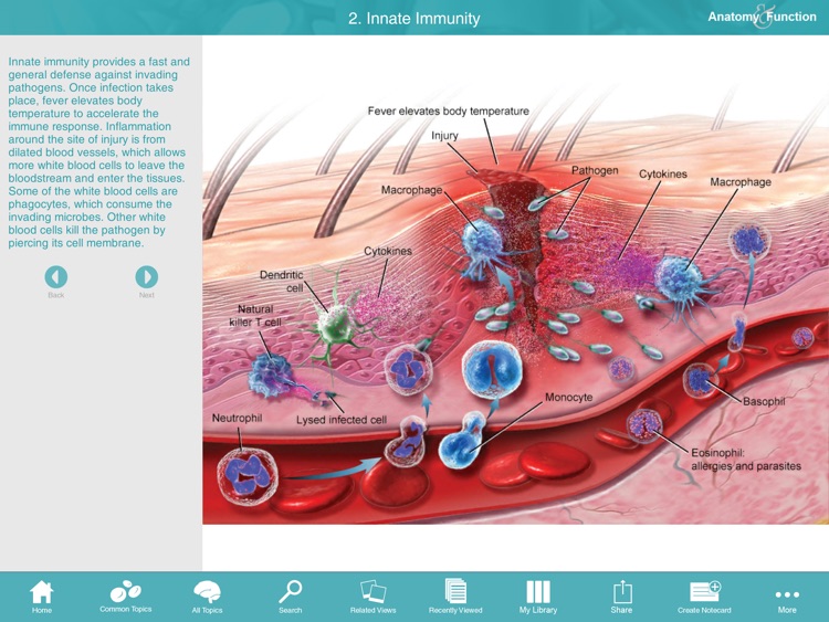 Anatomy & Function: A 3D Visual Reference of the Human Body