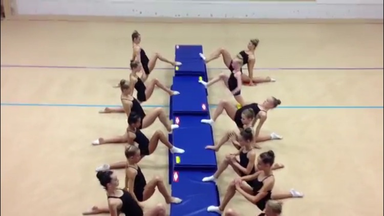 Gymnastics Master Class screenshot-3
