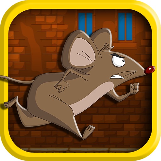 Anti Gravity Mouse Rush : Little Mice Escape FREE! icon