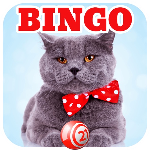 Cat Lovers BINGO! - FREE Multi-Room Bingo Game icon